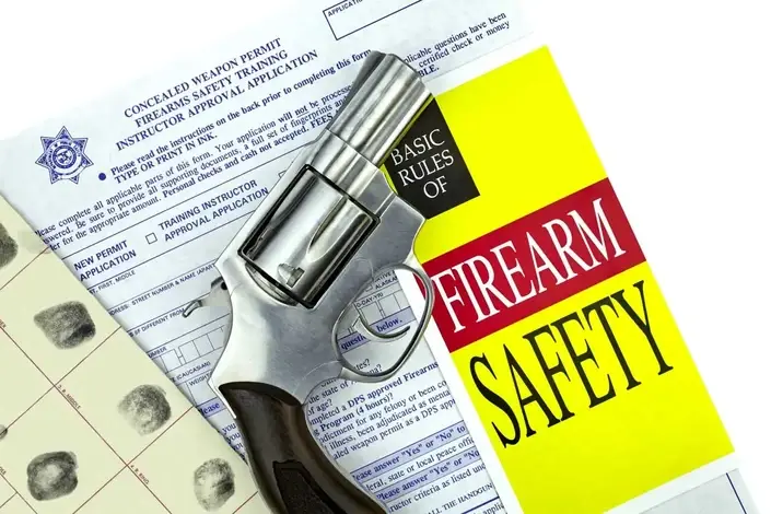 Firearm Safety and Concealed Weapon Considerations